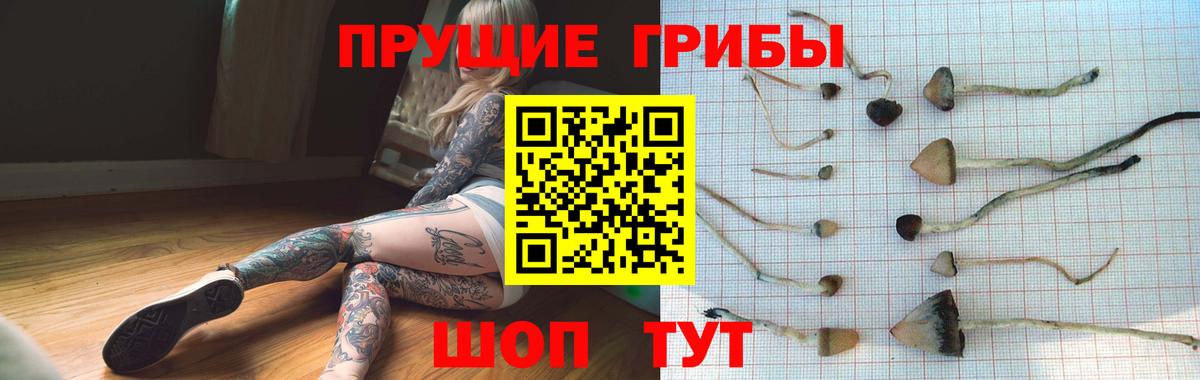 Псилоцибиновые грибы MAGIC MUSHROOMS  Вход с VPN  Галлюциногенные грибы прущие грибы  Сарапул 